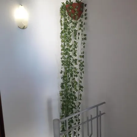 Tahiti House Stagnone Apartment Marsala
